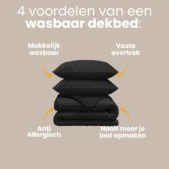 Lazy Dekbed Zonder Overtrek - Uni - Zwart